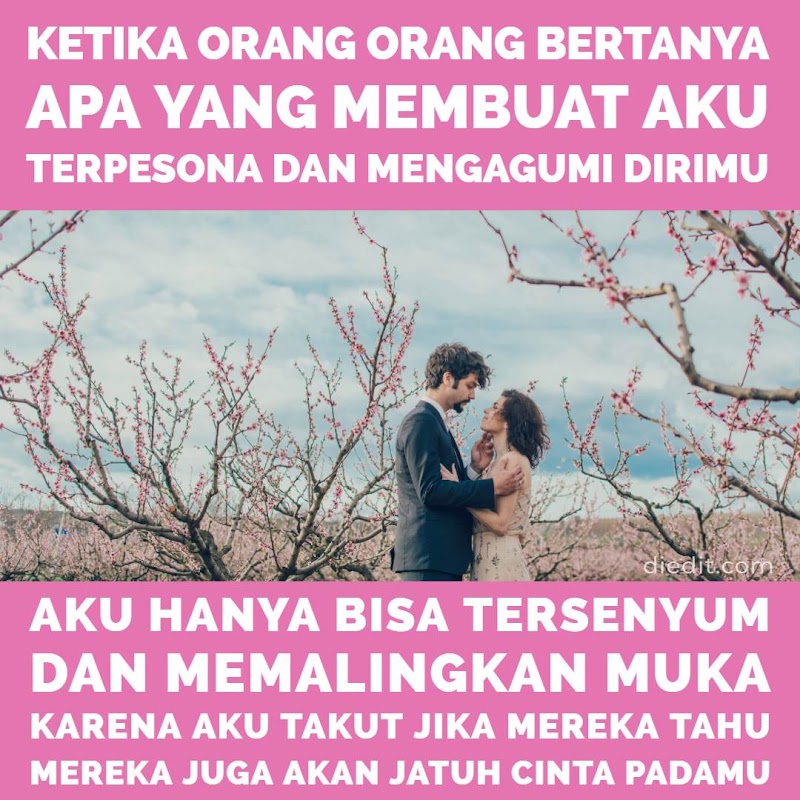 Top Kata Cinta
