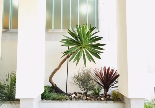 アプローチ エントランス 植物