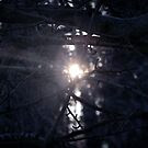 framing branches by prawnie