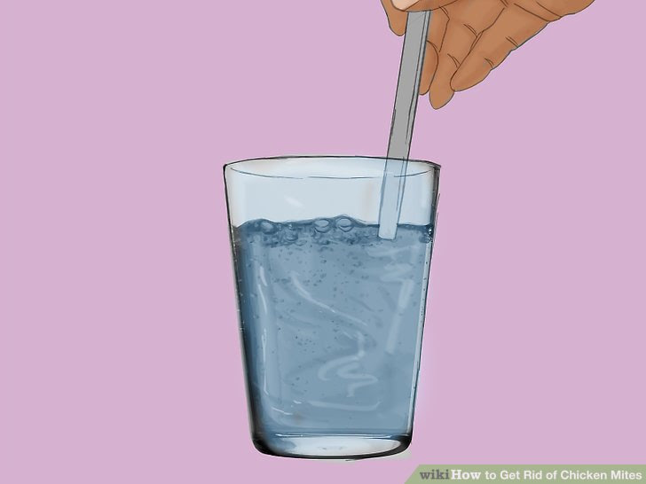 Get Rid of Chicken Mites Step 10.jpg
