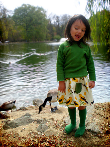 reversible bird seed skirt