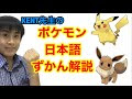 25 ++ ポケモン 先生 128434-ポケモン 先生スタンプ