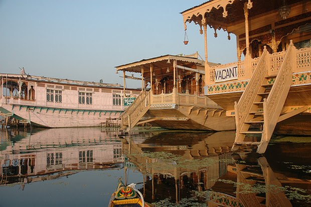 the vale of kashmir search of life