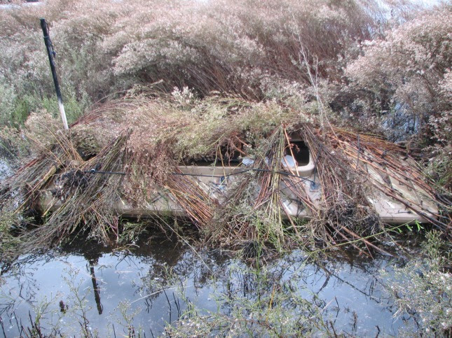 duck hunting boat blinds aidanforster wood boat