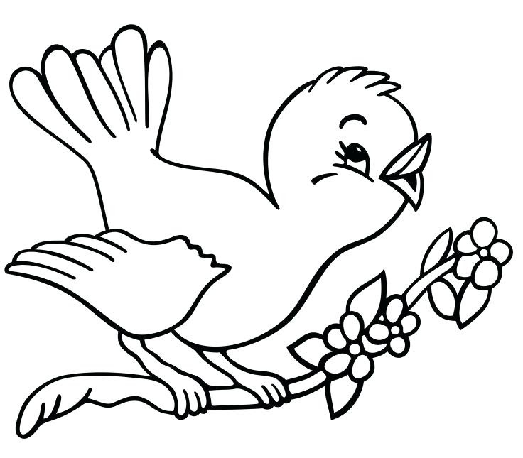 Outline Drawing Of Birds at GetDrawings | Free download