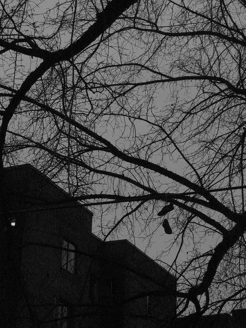 utter greyness