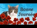 √ Téléchargement gratuit! image bonne journée avec chat 252658