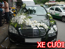 Cho thuê xe du lịch tại Đức Vinh