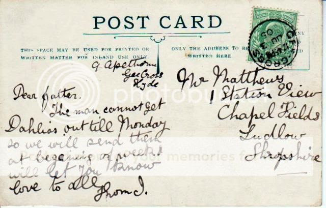  photo vignetteback.jpg