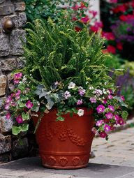 Flower garden ideas