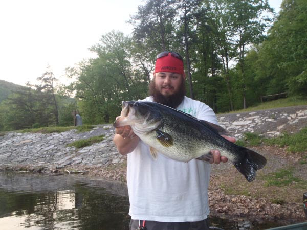 Mattlures Baby Hardgill Series, PREMIUM SWIMBAITS FOR TROPHY