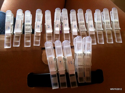 Clothes Pegs