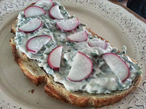 201306_purslane tzatziki