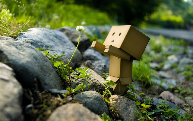 Hình ảnh người gỗ Danbo cô đơn lẻ loi tuyệt vọng