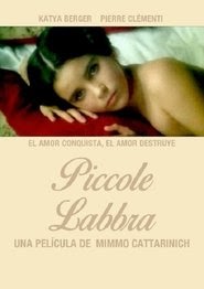 Piccole labbra 1978 full movie nederlands volledige