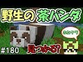 [最新] マイクラ パンダ 茶��� 235544-マイクラ パンダ 茶色