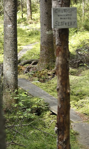 Willoughby Bog Hike (35)