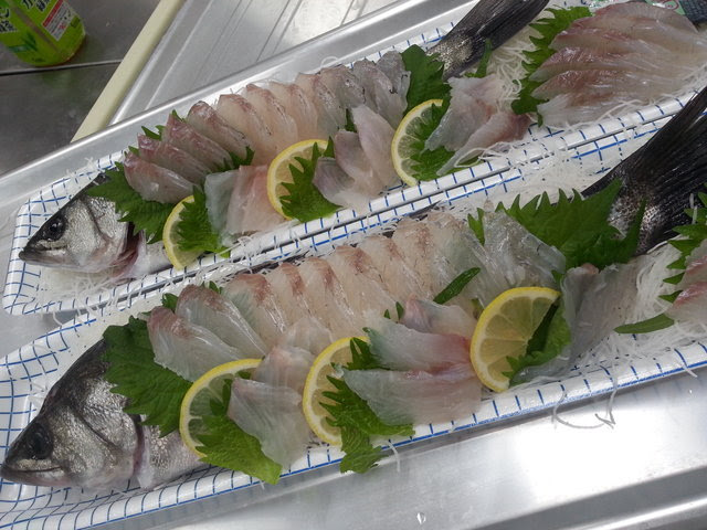 宇部産スズキのお刺身は 釣り坊主の独り言