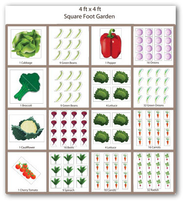 Square Foot Garden, Squarefoot Gardening Tips, Square Foot ...