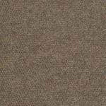 Succession II Tile 54695 Shaw Commercial Carpet Tiles