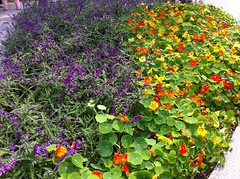 花博新生公園區