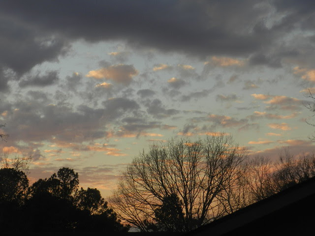 skywatchDSCN1673