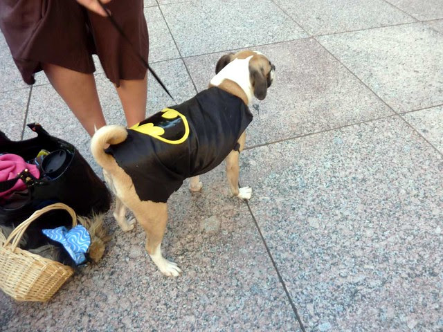 P1030832-2010-09-04-DragonCon-Parade-Bat-Dog
