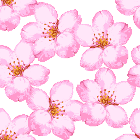 ブラシタッチさくらの花 No 574 リアル桜の花の壁紙用イラスト 条件付フリー素材集 スマホなど携帯電話対応