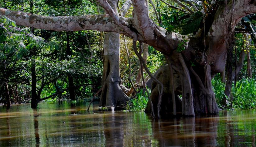 地球上难以置信的3处未知世界 人类只能在照片上看到 涨知识了 生活资讯 娱乐新闻网