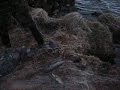 Снятие браконьерской сети на озере Джулукуль
