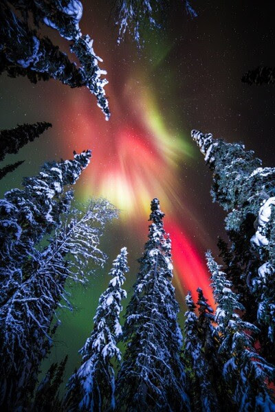 AK FAI aurora 112073 18