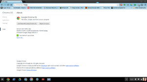 Chrome OS Settings showing Developer channel