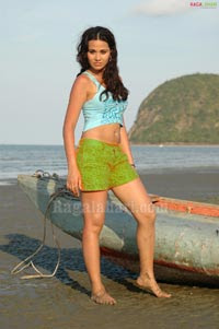 Nisha Kothari Photo Gallery