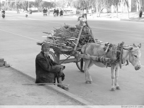 uyghur by sarvaz