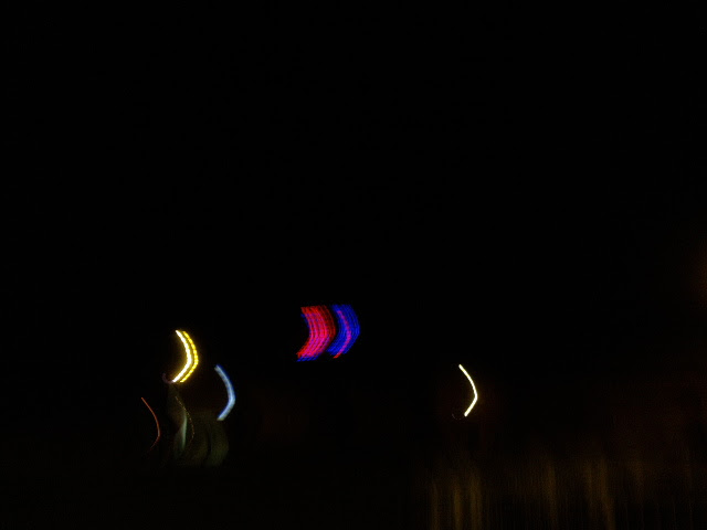 PIC_7138