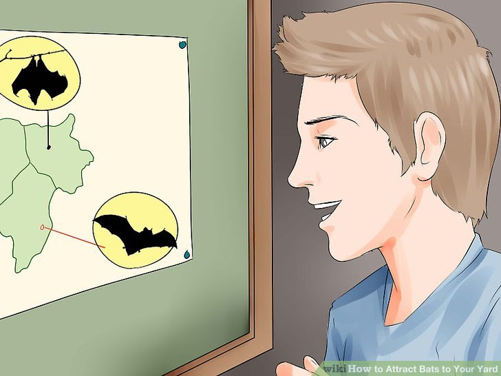 Attract Bats to Your Yard Step 1 Version 2.jpg