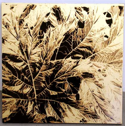 patterns in nature artists. ARTISTS NOTES: These two