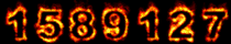Web Site Hit Counters