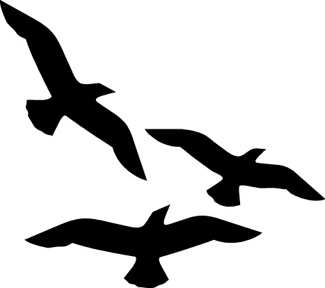 :I Support: :This Is An: