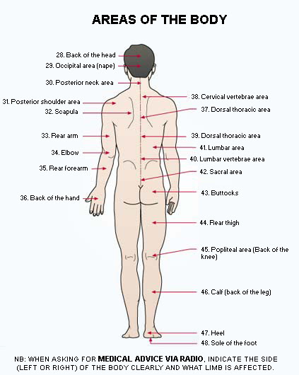 Human Body Parts Back Side Clip Art Library