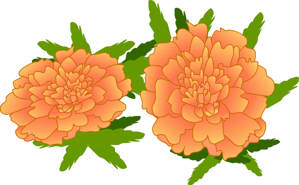 夏 夏景色 夏の花 イラスト 無料