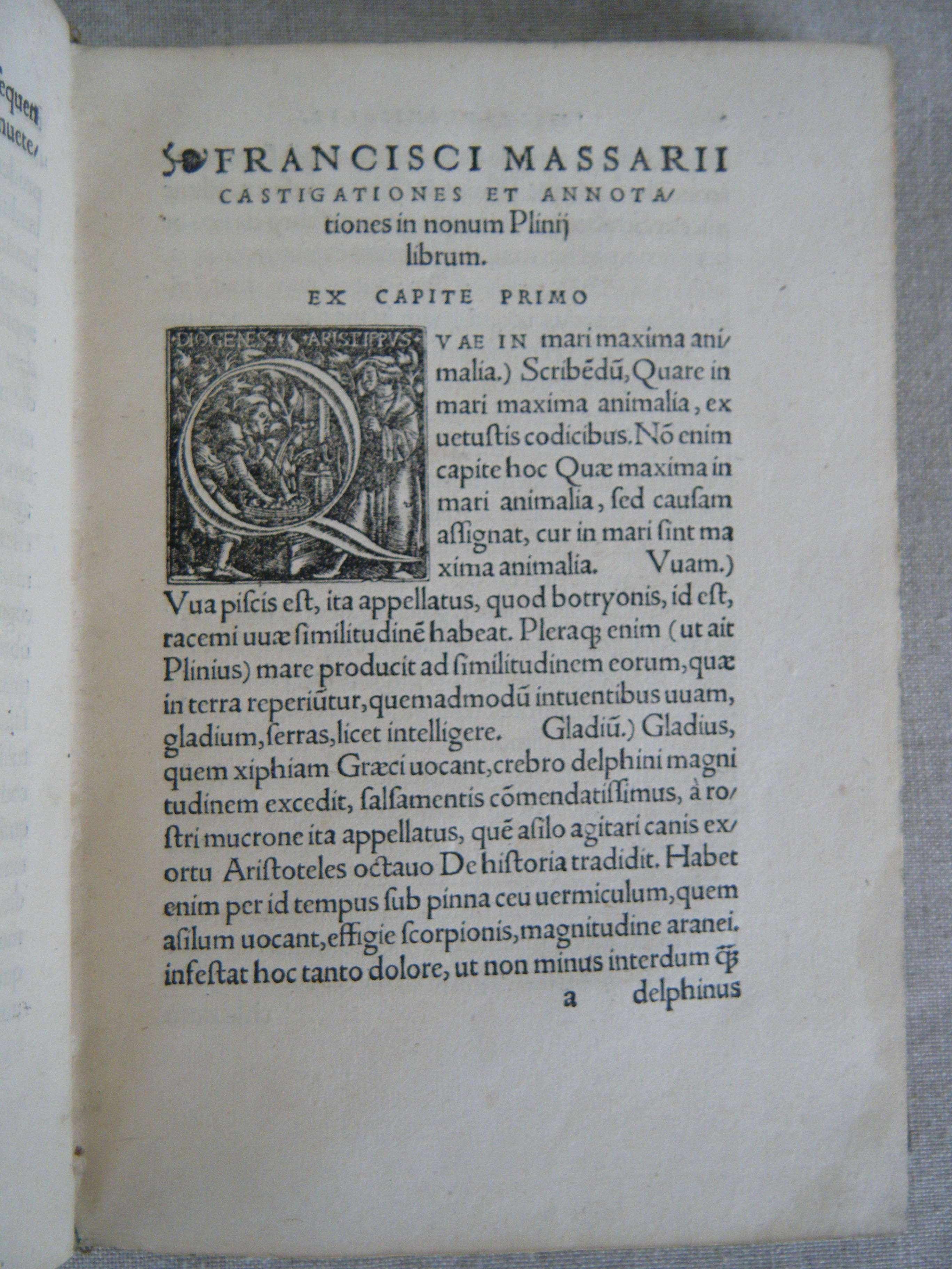 Image Hosted by ImageShack.us