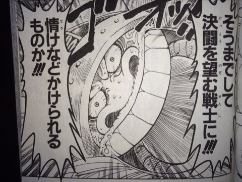 ブロギー One Piece ワンピースの画像付名言集 ネタバレ注意