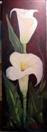 Calla Lilies Floral