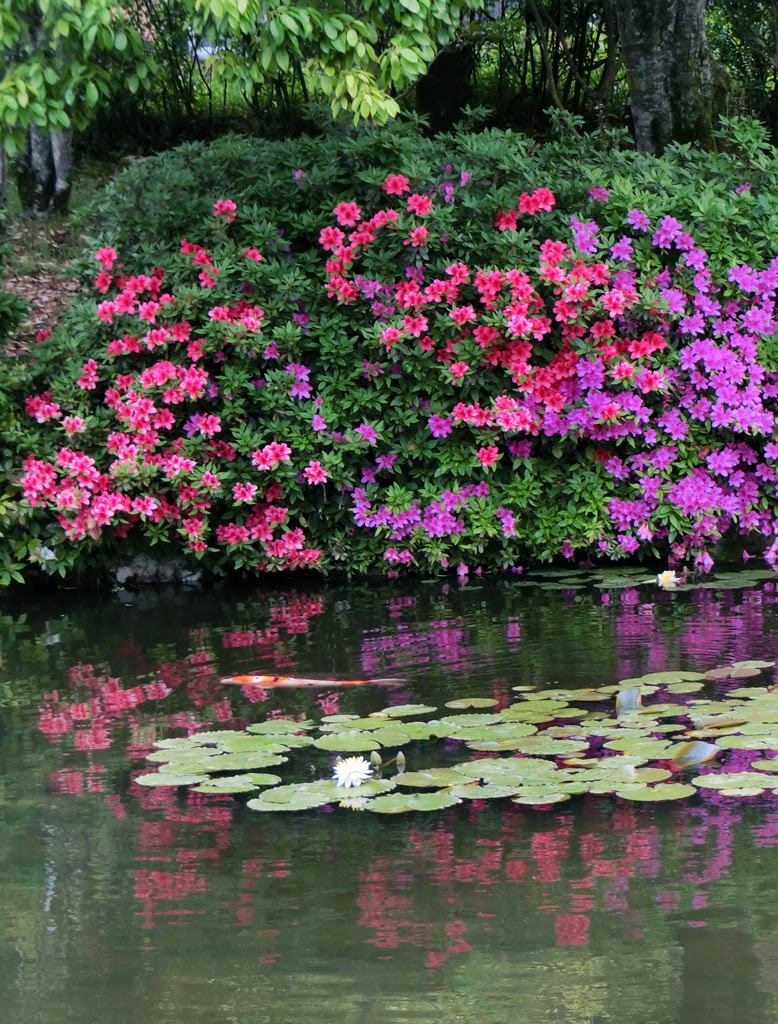 東行庵 1 高杉晋作像や５月の花 19 Gw帰省 K U R A D A S H I