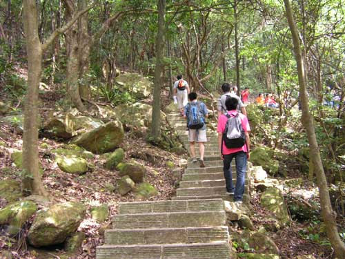 梧桐山