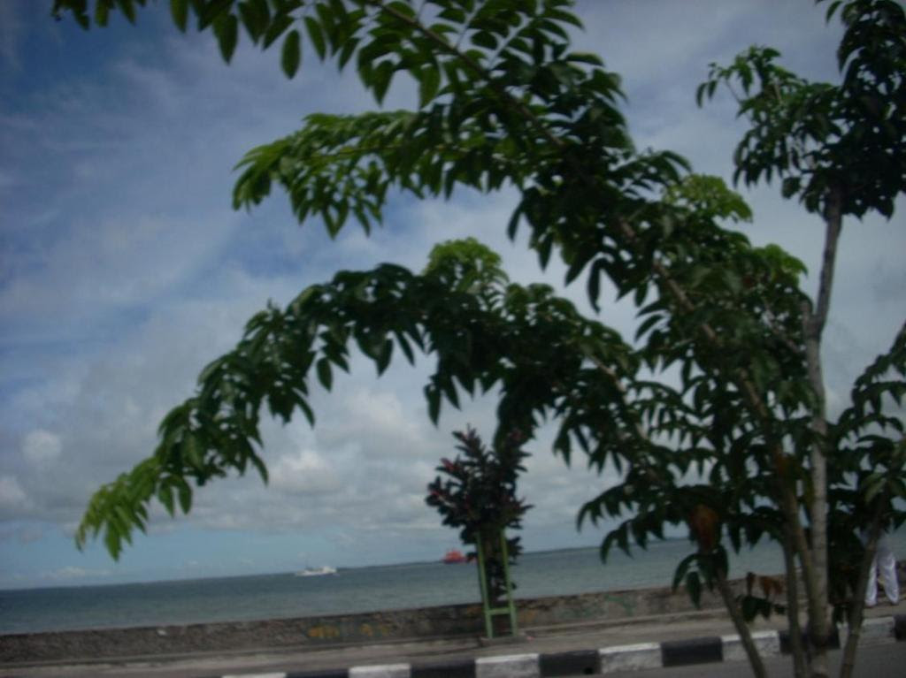 Jual Sprei Banjarmasin