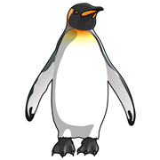 ペンギンの種類 ペンギン大学
