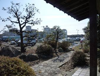 カシ シラカシ 庭造りや生垣などの植木のご相談はガーデニング庭造り相談所へ