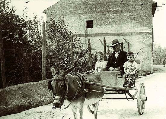 Öregember szamárral és két kisfiúval